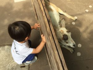 仕事と育児を両立させるコツ