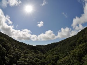 お天気